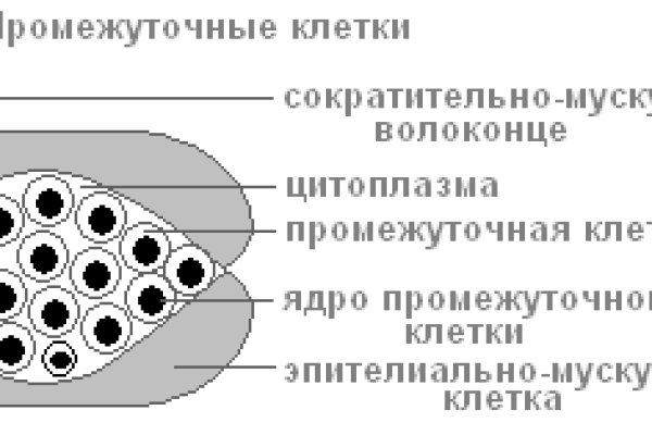 Кракен маркетплейс kr2web in