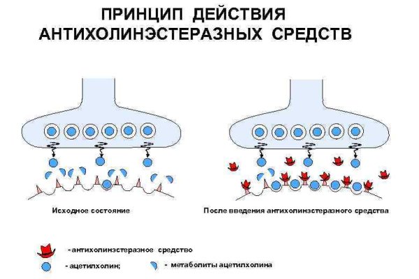 Кракен нет