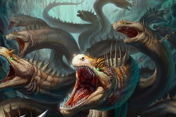 Kraken url